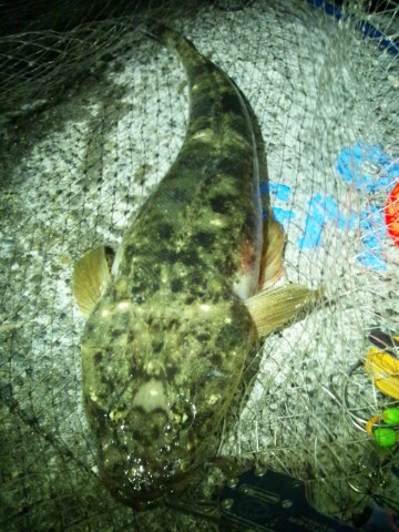 mhhii2rv785u4c9fj44j_480_480-554ba76c.jpg
