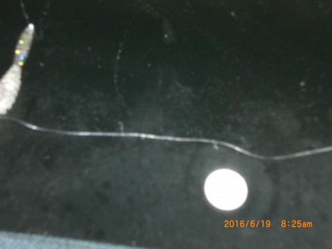 mhunie8m7jcck4irawvm_480_480-0f0d872c.jpg