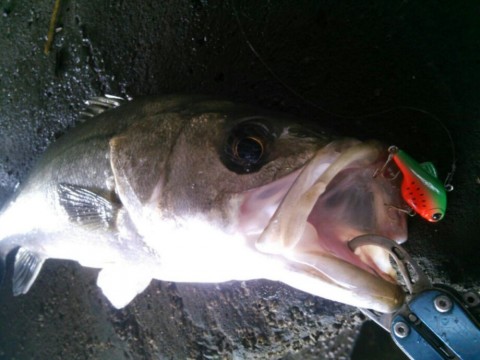 mi27j595p9hfao83tbam_920_690-22dee5d5.jpg