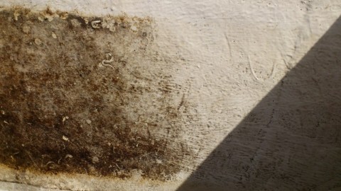 mikctzzc3pv58cm2jd49_480_480-c41c402f.jpg