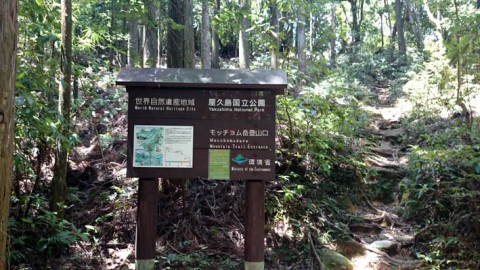 minokjcfwe5zjc8g4hye_480_480-a0a1a184.jpg