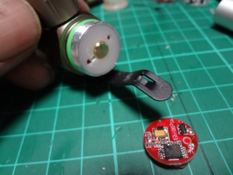 mirxnbdor6tx7tsr7xsu_480_480-46b5d474.jpg
