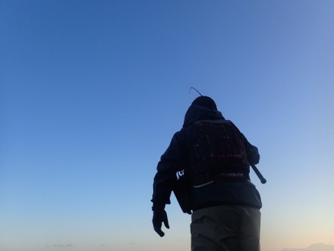 mj9xzu6yxnf8em9oya4b_480_480-d71ecded.jpg