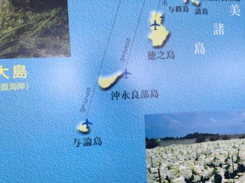 mjaiugkigpnwemn873ir_920_690-f383598c.jpg