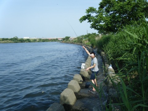 mjfjfcfwexeuxoat9z3a_480_480-9255e9aa.jpg