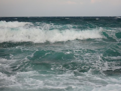 mjfs4zo4a2mbsegwcy2r_480_480-f64d86da.jpg