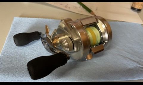 mjghjoibis59pfz35vw9_480_480-f26f6b28.jpg