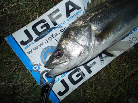 mjjrsumf45as8ip6eyij_480_480-24de91e5.jpg