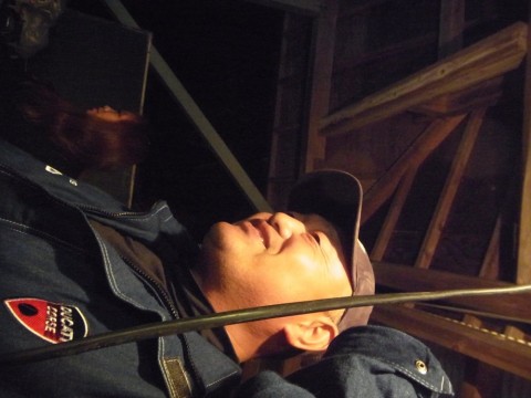 mjyvo3mihrgtcc68cdy9_480_480-a1d385da.jpg