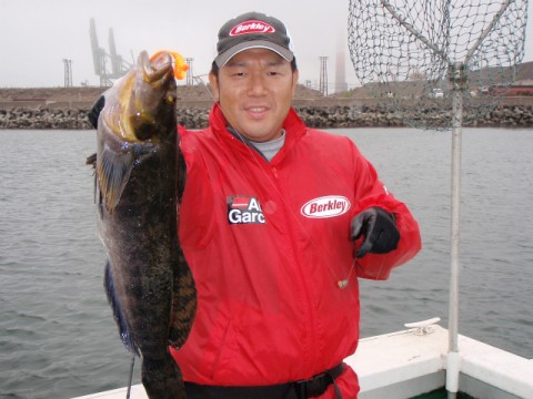 mkd8d2mzhupysxpdfcyi_480_480-c88c9043.jpg