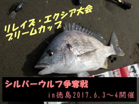 mkvnj6p27ujgjr94mikd_480_480-e2c849b4.jpg