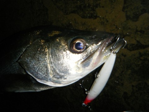 mm7zumifuvza3jgrjinc_920_690-d508effa.jpg