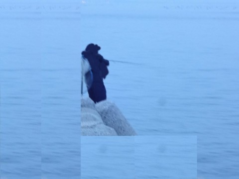 mmkyp9cgt6hzye488eu7_480_480-8de24318.jpg