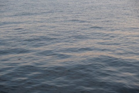 mmzk4viw2z2yt7bgpyr6_480_320-e872c4c7.jpg