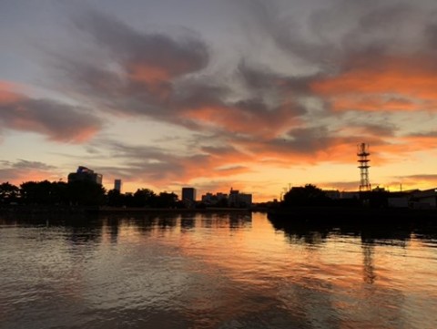 mn7y6j64hznd8ucyb4v4_480_361-94b17af4.jpg