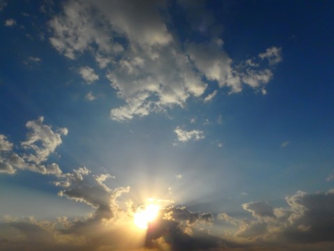 mn8ppryiczdn2owe5hd8_480_480-729e93ed.jpg