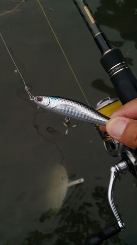 mnax67bny2cbmenrwcfw_480_480-9fd072da.jpg