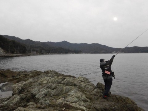 mnfah85su4476i8ay6mx_480_480-18606e28.jpg
