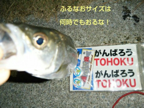 mnifpzpof98m4pki6d2e_920_690-93527d85.jpg