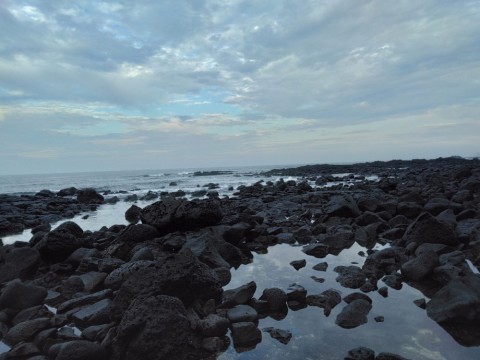 mnpep3dz7vncn4fibzdn_480_480-78461047.jpg