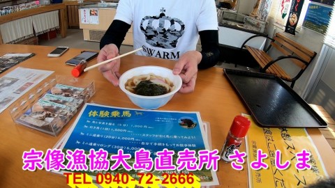 mnrktb879xcx58oarfw2_480_480-11c25d52.jpg