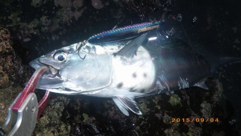 mnspracc77952uni9oes_480_480-ccba73cb.jpg