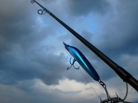 moca4xjofup4j7ub3rig_480_480-d6be5acd.jpg