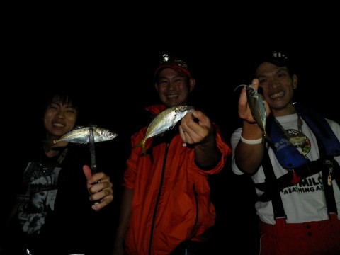 mog8k4xgjrgbfi2eukxt_480_480-b90508da.jpg