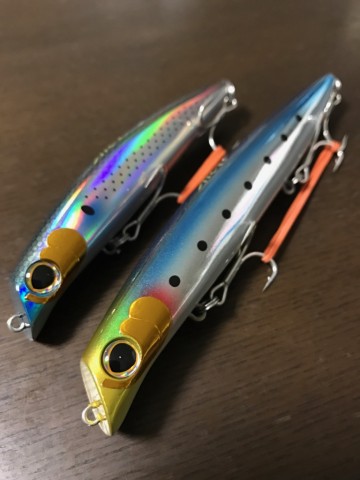 moosi28ya6vbr9nbyo23_480_480-05dc9534.jpg