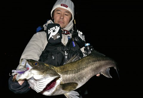 movtr68bfdajyrg97vve_480_480-6dd67d01.jpg