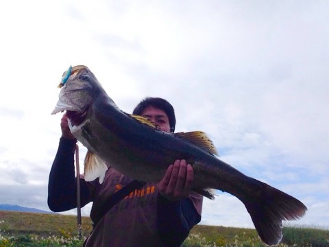 mowshu4cgn5ww5ynpany_920_690-0ec19cc9.jpg
