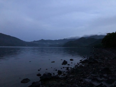 mp86p4w9396ppuoae3eb_480_480-83505951.jpg