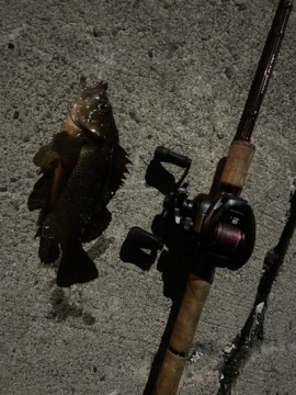 mp9pk2u7ewtpa94kvi2a_360_480-c3595682.jpg