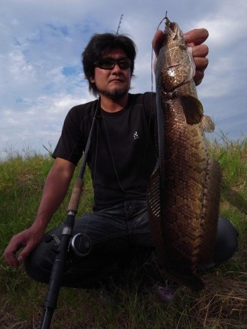 mpkuxnryhuyu4wkteb9g_480_480-79fdabc8.jpg