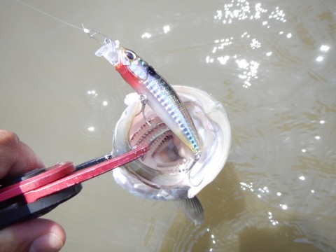 mpuoabcrpvzx3267zbut_480_480-aa0124b5.jpg