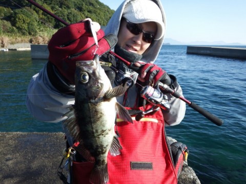 mpuyyitk7u44oxgzr3dk_920_690-48157972.jpg