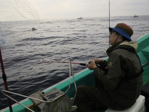 mr6w6kriewpxyamk73sy_640_480-b5df52ad.jpg