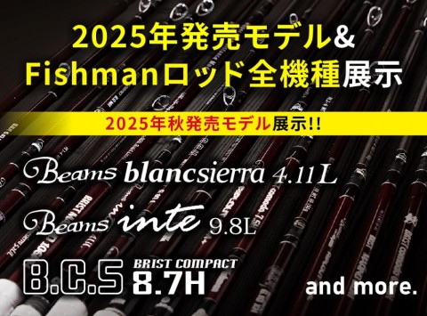 mr7emg2s4748rnsee633_480_480-1b6b8e84.jpg