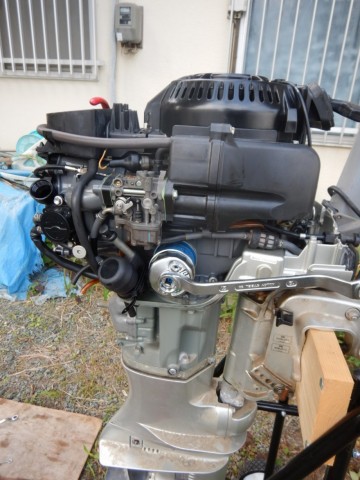 mriazk6k8fn97kv4n3yb_480_480-08a141be.jpg