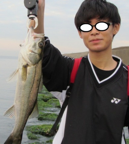 mrkpew3jny6rx7noin8t_480_480-6e88aed8.jpg