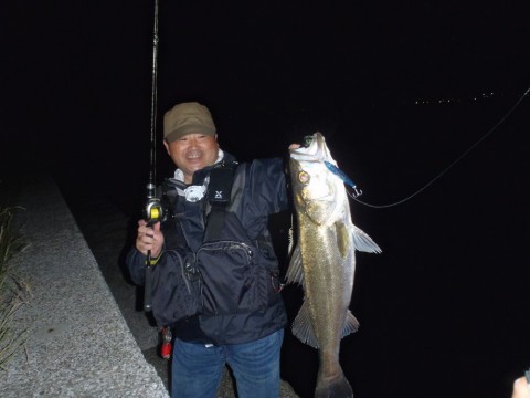 ms2uejifcpzskrtjppnw_480_480-3512f667.jpg