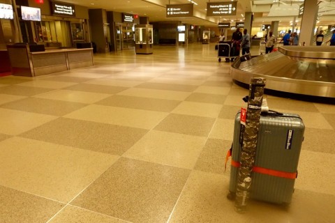ms58mhag4a3wr8275tbe_480_480-96da40ea.jpg