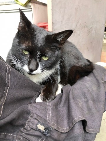 ms5hegrzukrbikzooihw_480_480-e587cb0e.jpg