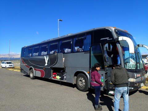 ms6skb8bwukwdue5nhnz_480_480-e84bd098.jpg