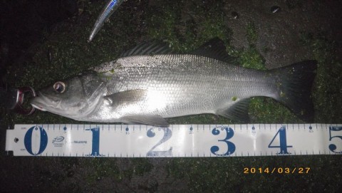 mtb3ub9jkxyfd7d2amgm_480_480-eb0a9d01.jpg