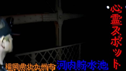 mtjiu5j7b4ycg3phdbkz_480_480-b8da0911.jpg