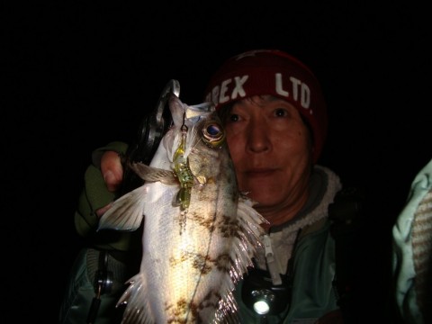 mtkhy25ws2pfd45ms9fy_480_480-5fe1bb82.jpg