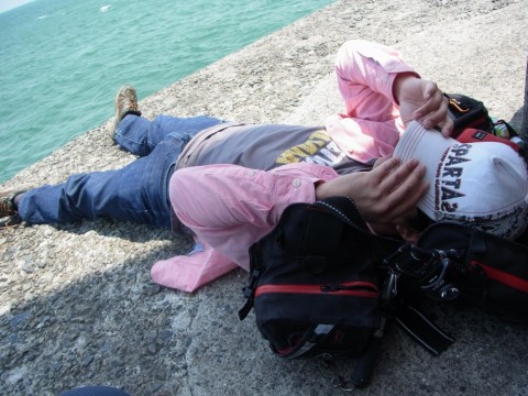 mtmbv7rtwoyuswsdwvk8_480_480-8d23e5e1.jpg