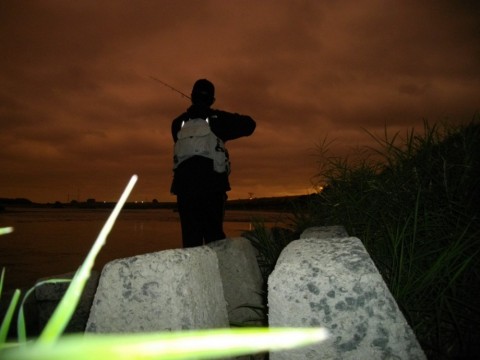 mtpb5apy25n5stffgbgr_480_480-c30e9035.jpg