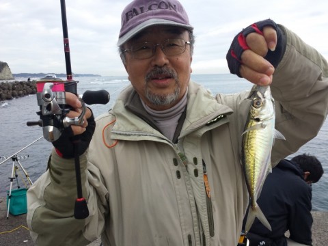 mu2ded3t2wpppos289cv_480_480-73b016f9.jpg